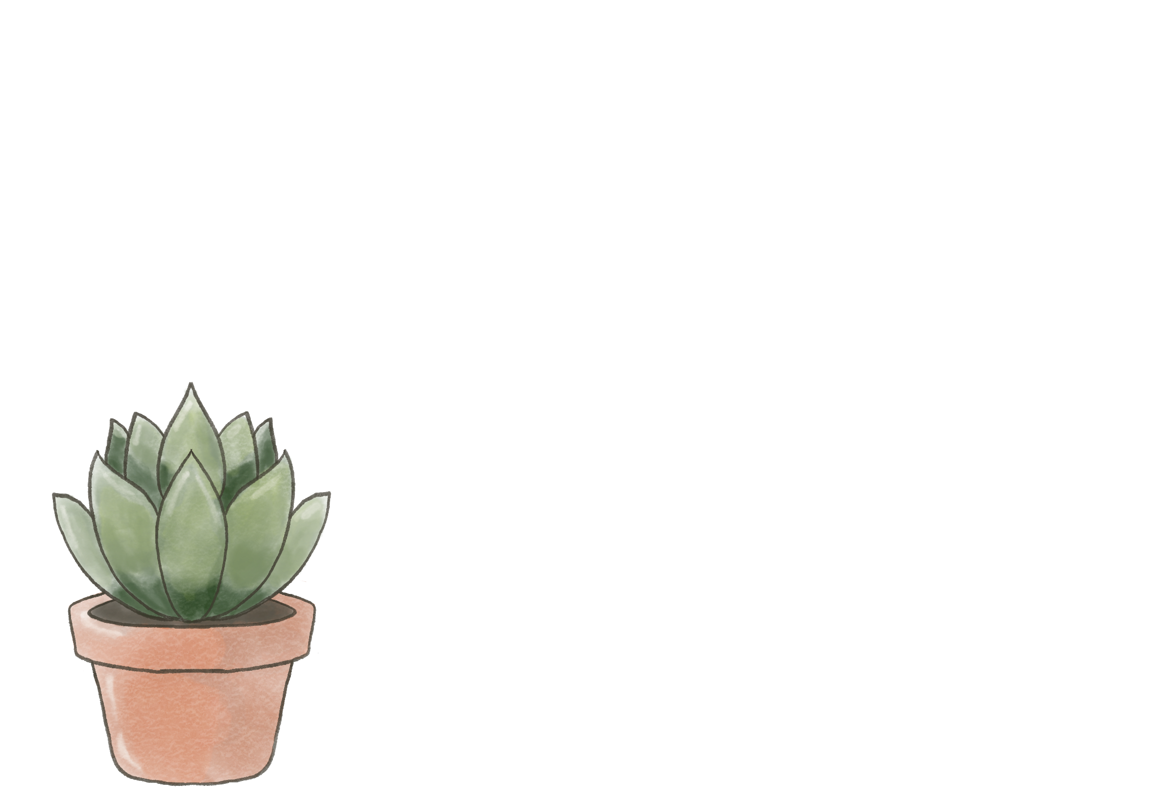 Un cactus